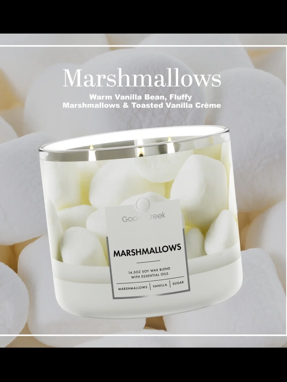 🤍 GC Marshmallows 3-Wick Candle NEW
